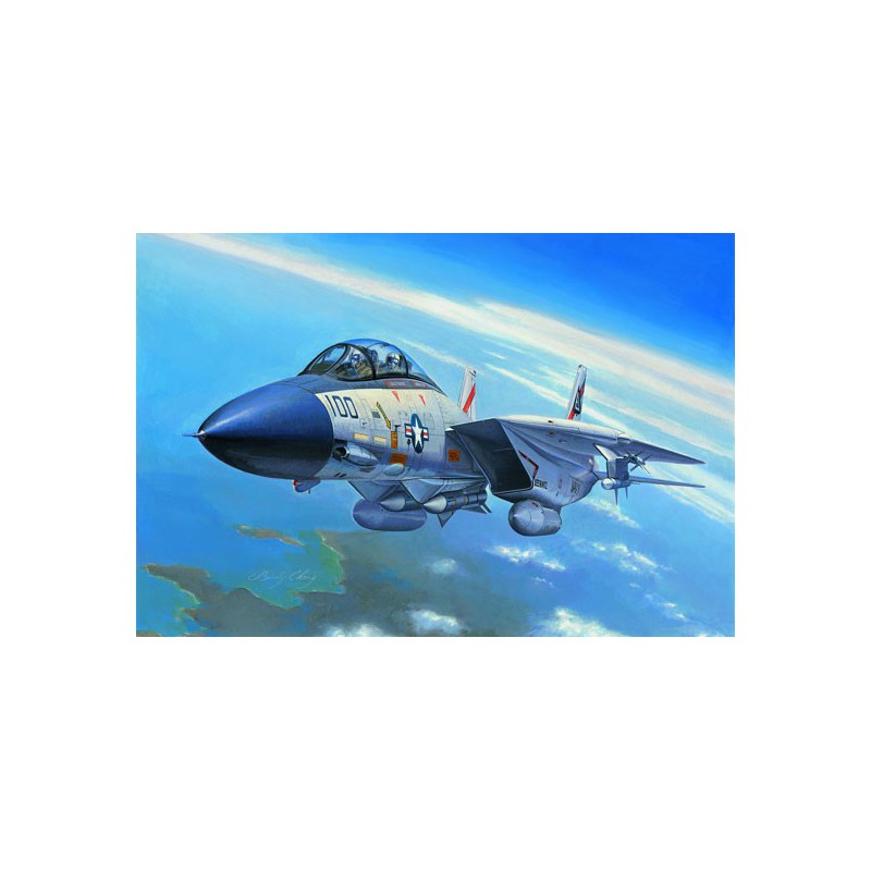 F-14A plastic plane model Tomcat 1/72 | Scientific-MHD