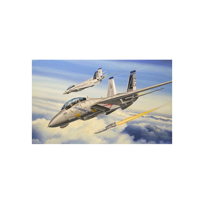 F-13B plastic plane model Tomcat 1/72 | Scientific-MHD