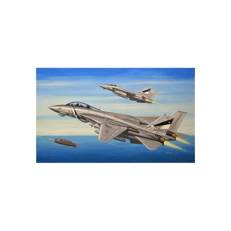 F-14D Tomcat 1/72 plastic plane model | Scientific-MHD