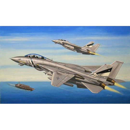 F-14D Tomcat 1/72 plastic plane model F-14D Tomcat 1/72 plastic plane model | Scientific-MHD