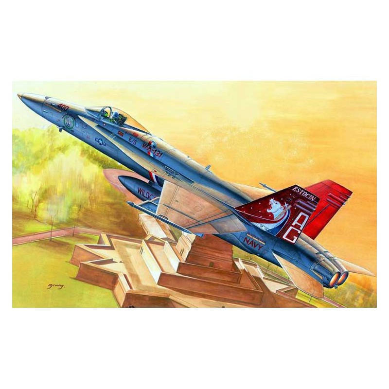 Plastic plane model F/A-18C HORNET 1/48 | Scientific-MHD