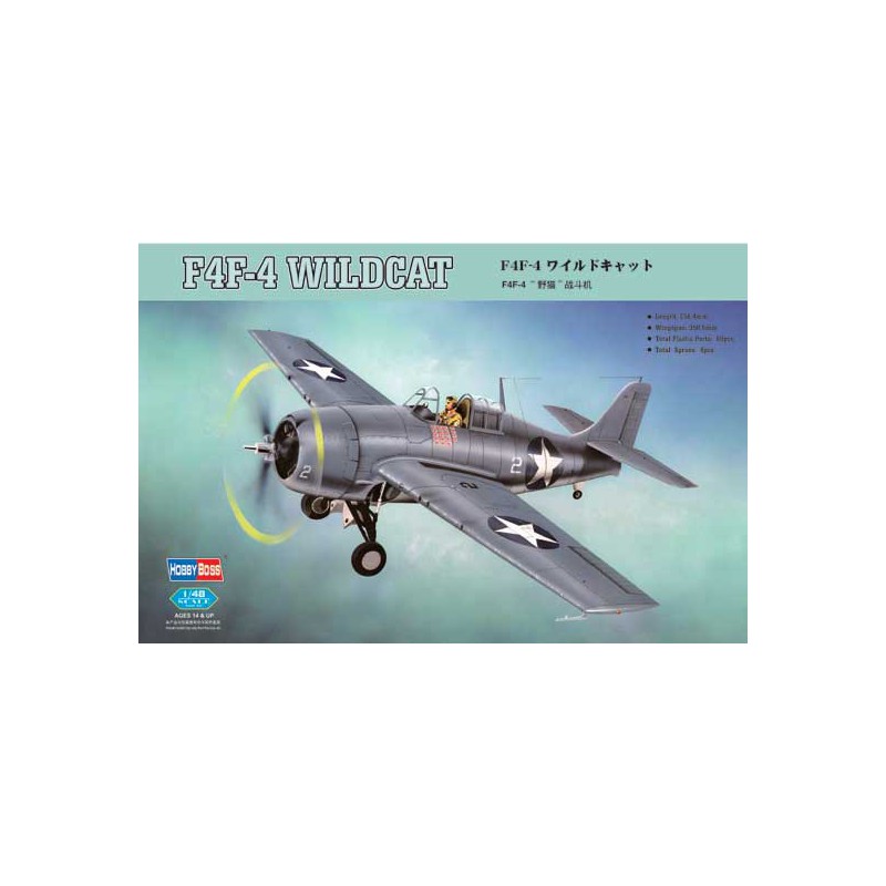 F-4F plastic plane model 1/48 | Scientific-MHD