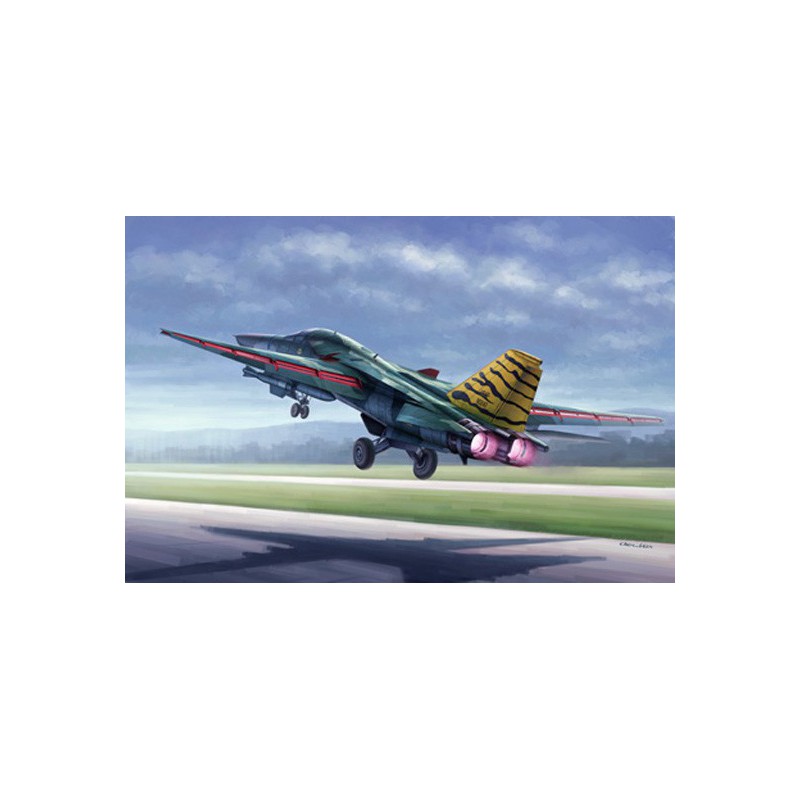 FB-111 plastic plane model Aardvark 1/48 | Scientific-MHD