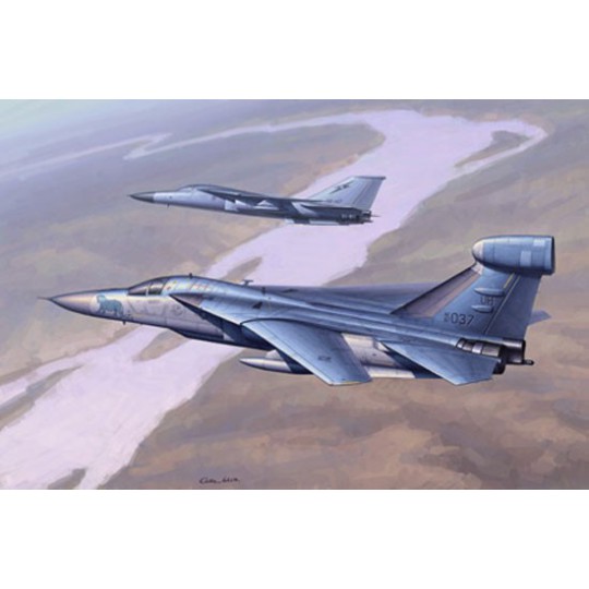 EF-111 Raven 1/48 plastic plane model EF-111 Raven 1/48 plastic plane model | Scientific-MHD