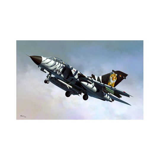 Tornado ecr 1/48 plastic plane model Tornado ecr 1/48 plastic plane model | Scientific-MHD