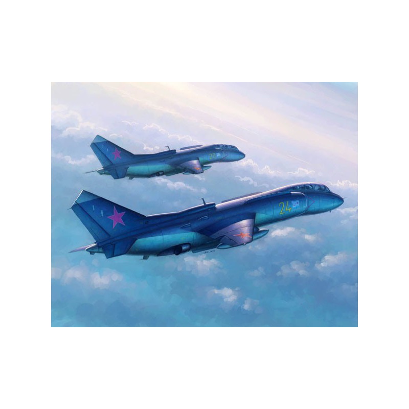 Yak 38u plastic plane model B 1/48 | Scientific-MHD