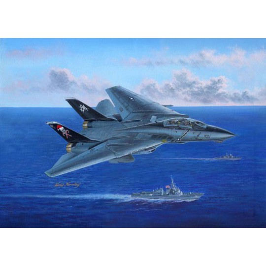 F-13B plastic plane model Tomcat 1/48 F-13B plastic plane model Tomcat 1/48 | Scientific-MHD