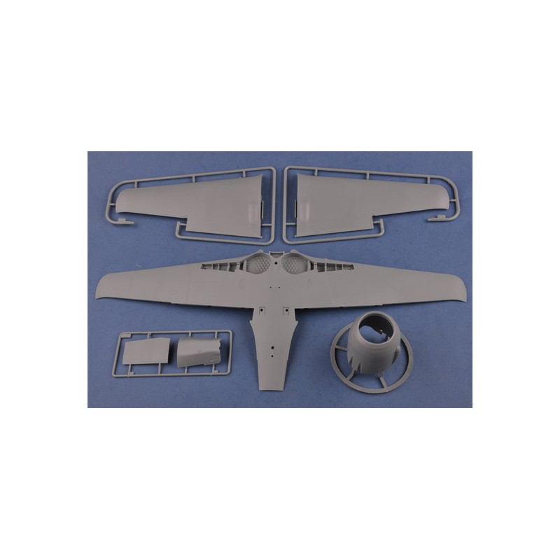 Plastic plane model Focke Wulf 190a-5 1/18 | Scientific-MHD