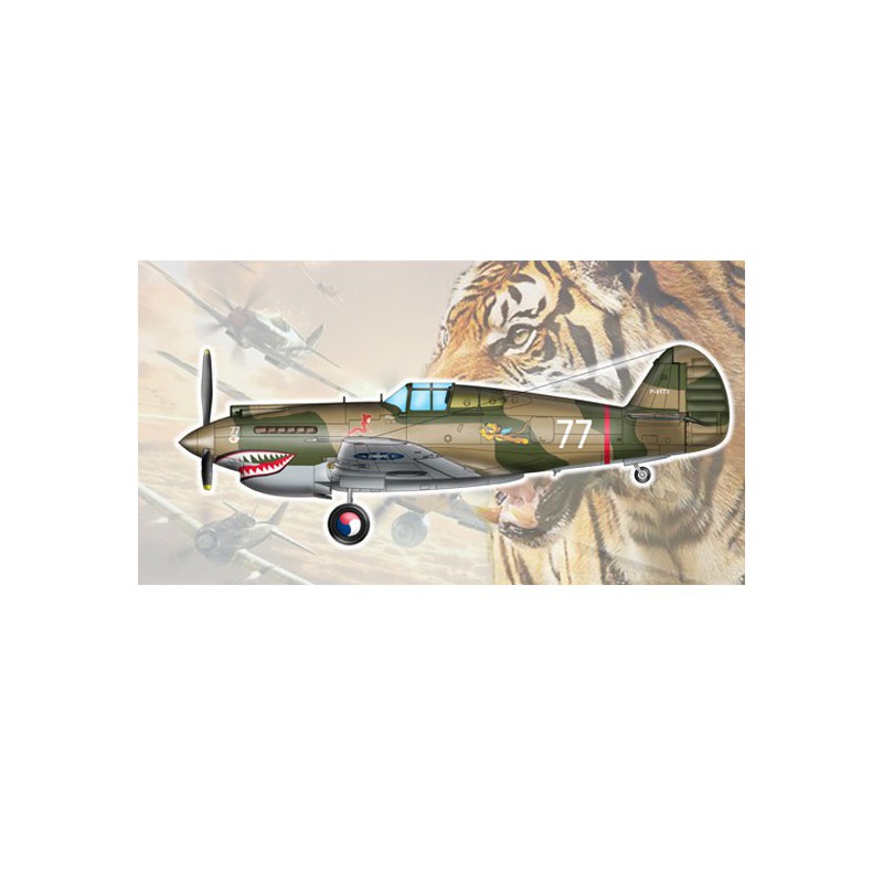 Plastic plane model H-81A-2 (AVG) | Scientific-MHD