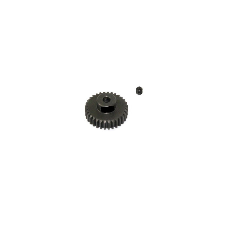 24 -tooth engine radiochered electric motor 1/10 | Scientific-MHD