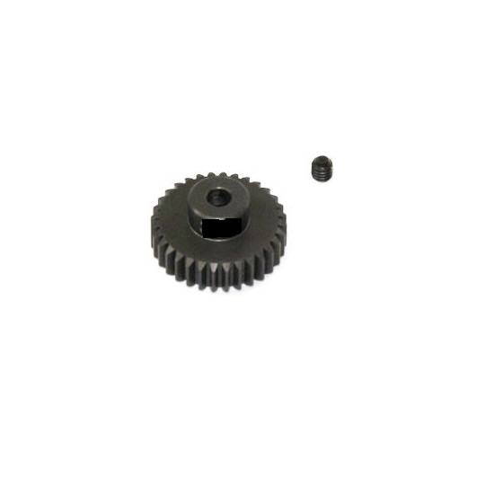 24 -tooth engine radiochered electric motor 1/10 | Scientific-MHD