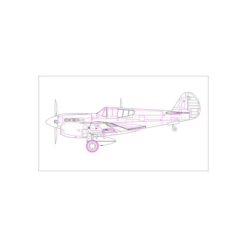 P-40E plastic plane model Kitty Hawk Fighter 1/48 | Scientific-MHD