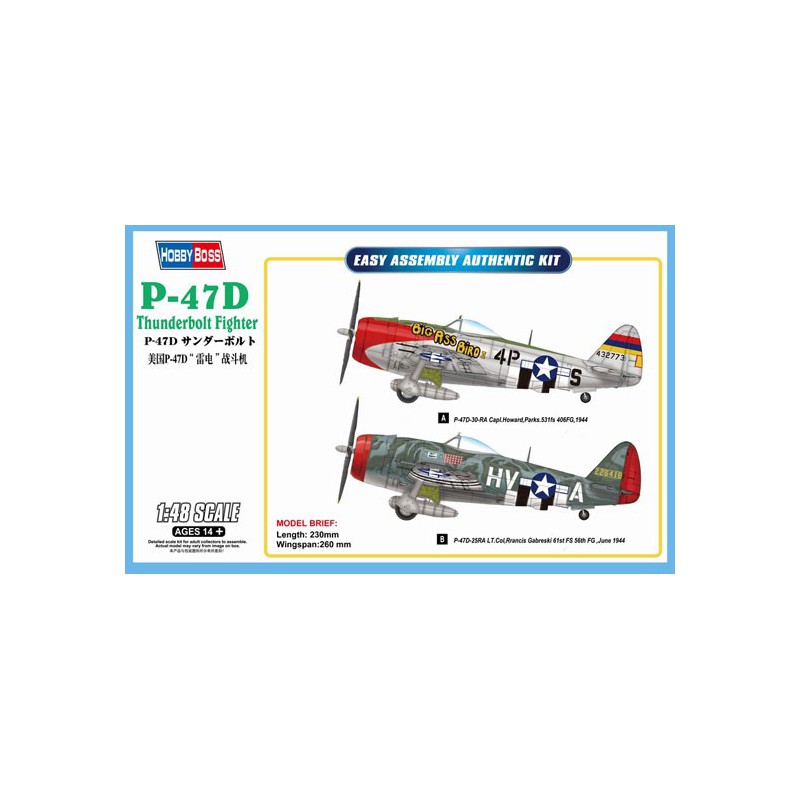 P-47D Thunderbolt 1/48 plastic plane model | Scientific-MHD