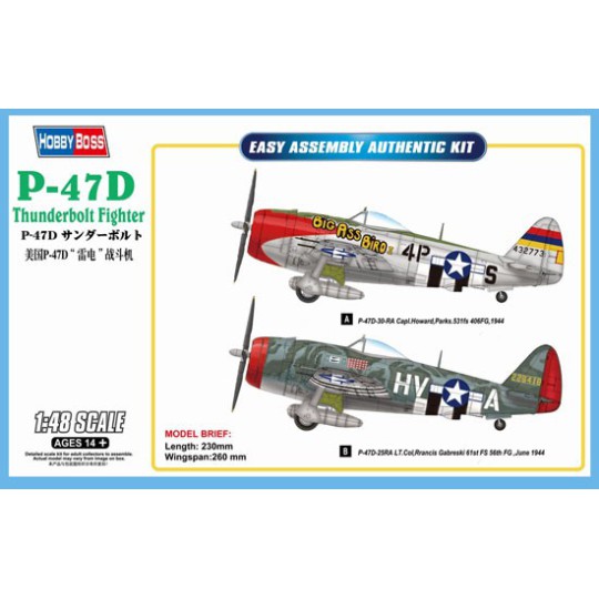 P-47D Thunderbolt 1/48 plastic plane model P-47D Thunderbolt 1/48 plastic plane model | Scientific-MHD
