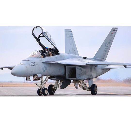 F/A-18F plastic plane model Super Hornet 1/48 F/A-18F plastic plane model Super Hornet 1/48 | Scientific-MHD