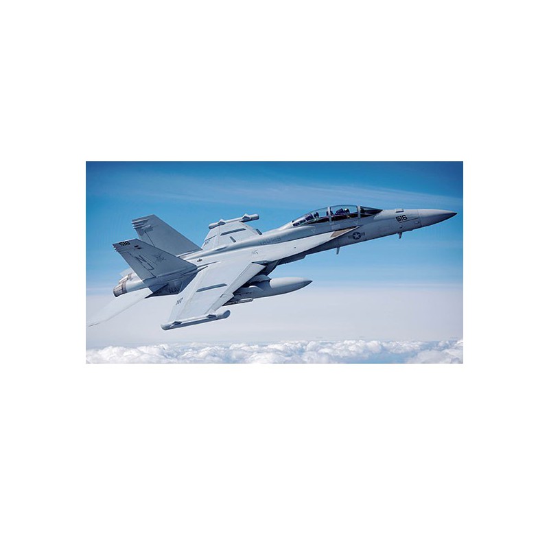 EA-18G plastic plane model 1/48 | Scientific-MHD