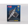 Miniature of plane Die Cast at 1/72 USAF P38-L 1/72 | Scientific-MHD