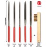 Set model of 5 fine files + metal brush | Scientific-MHD