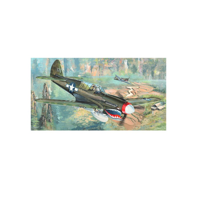 P-40N War Hawk 1/32 plastic plane model | Scientific-MHD