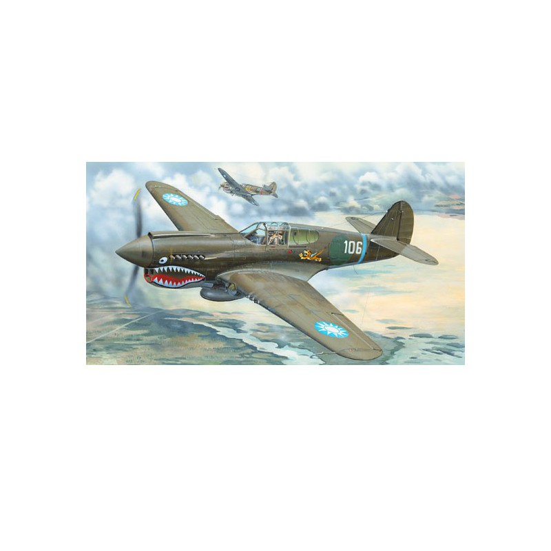 P-40E WAR HAWK 1/32 plastic plane model | Scientific-MHD