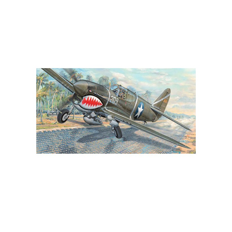 P-40F War Hawk 1/32 plastic plane model | Scientific-MHD