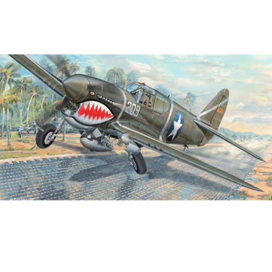 P-40F War Hawk 1/32 plastic plane model P-40F War Hawk 1/32 plastic plane model | Scientific-MHD