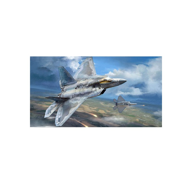 Plastic plane model F-22A Raptor1/48 | Scientific-MHD