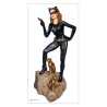 Catwoman figurine 19661/8 | Scientific-MHD