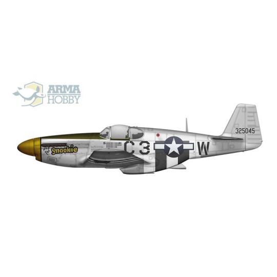 P-51 B/C Mustang Expert Set 1/72 plastic plane model P-51 B/C Mustang Expert Set 1/72 plastic plane model | Scientific-MHD