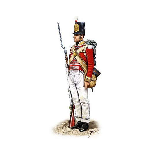Peninsular British Infantry figurine | Scientific-MHD