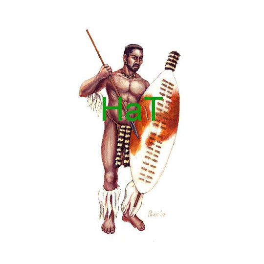 Zoulous warriors figure 1879 1/72 | Scientific-MHD