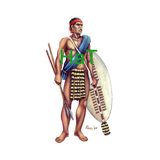 Native native figurine contingent 1/72 | Scientific-MHD