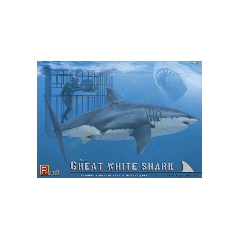 Great White Shark 1/18 figurine | Scientific-MHD