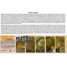 Rust & wear acrylic paint | Scientific-MHD