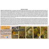 Rust & wear acrylic paint | Scientific-MHD