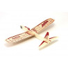 Free flight airplane radio controllers 120 gliders | Scientific-MHD