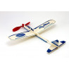 Free flight airplane radio controllers 120 gliders | Scientific-MHD