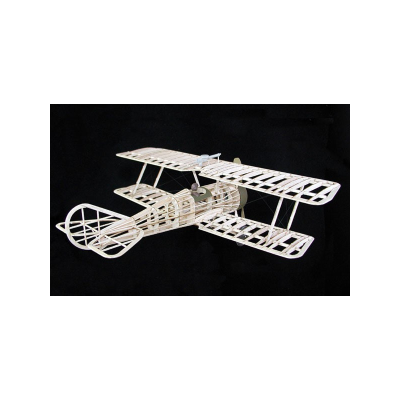 Free radio -free flight plane Thomas Morse Scout | Scientific-MHD