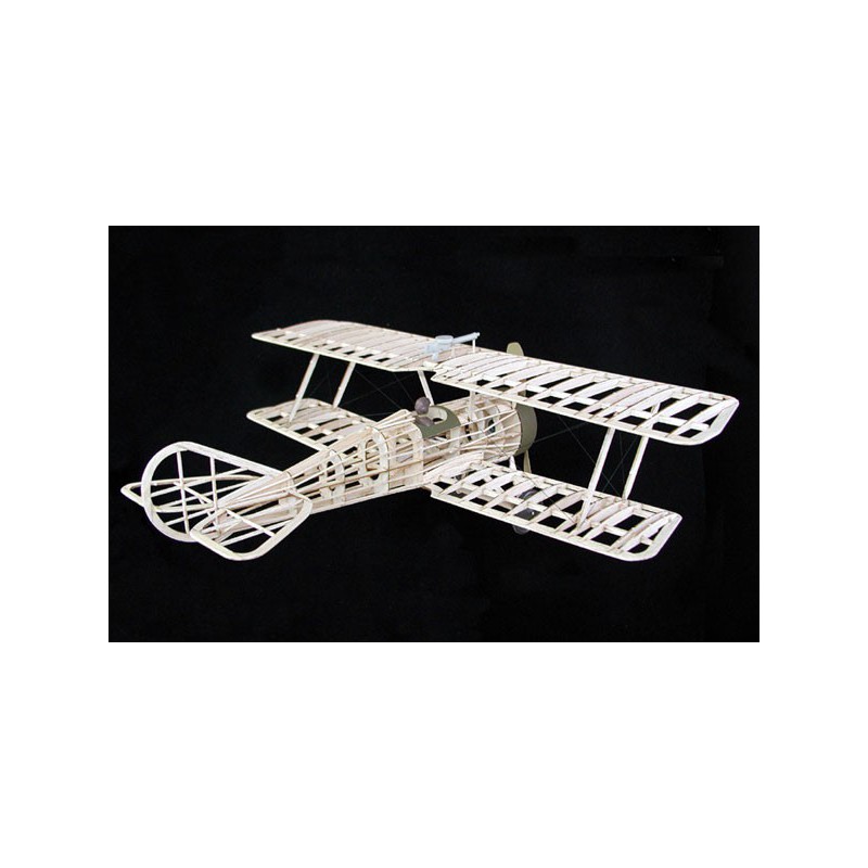 Free radio -free flight plane Thomas Morse Scout | Scientific-MHD