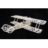 Free radio -free flight plane Thomas Morse Scout | Scientific-MHD