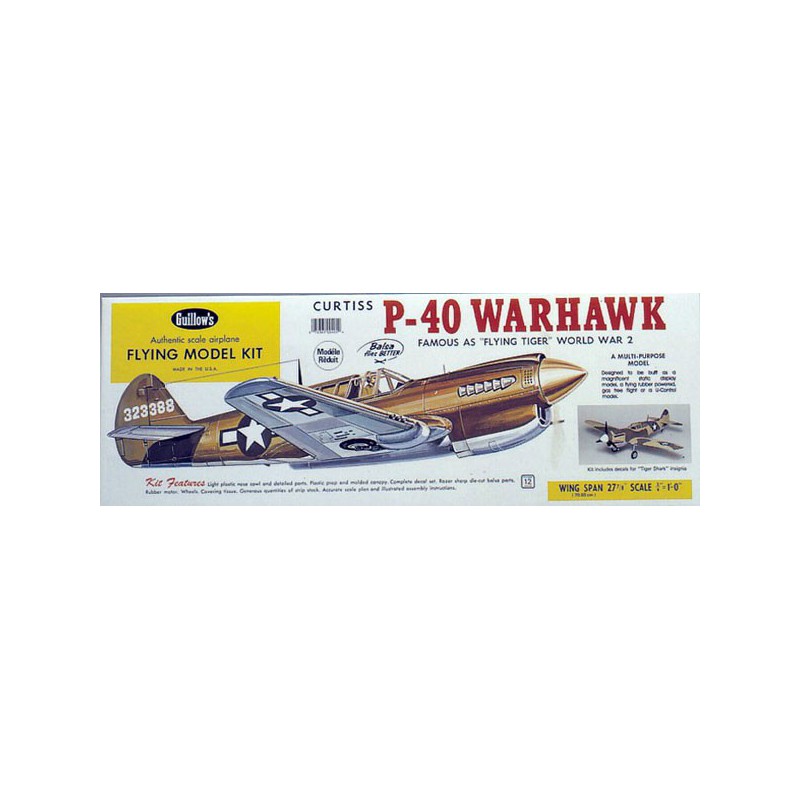 Free radio-free flight aircraft P-40 Warhawk | Scientific-MHD