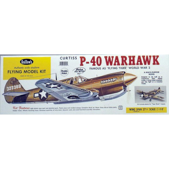 Free radio-free flight aircraft P-40 Warhawk | Scientific-MHD