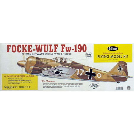 Free-free free flight airplane Focke Wulf FW-190 | Scientific-MHD