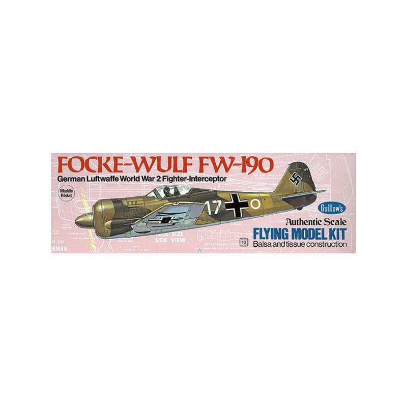 Free-free free flight airplane Focke Wulf FW-190 | Scientific-MHD