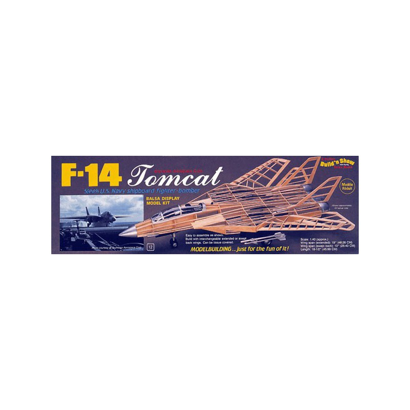 Flight plane radio controlled F-14 Tomcat | Scientific-MHD