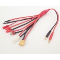 Charger for accused for radio -controlled device universal load cord | Scientific-MHD