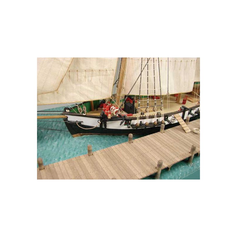 Berbice -to -quaiBaltimore 1/96 radio -controlled sailboat | Scientific-MHD