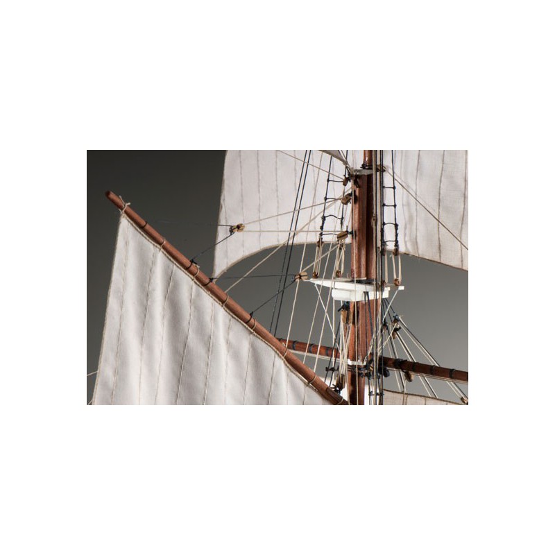 Static boat the beautiful hen 1/50 | Scientific-MHD