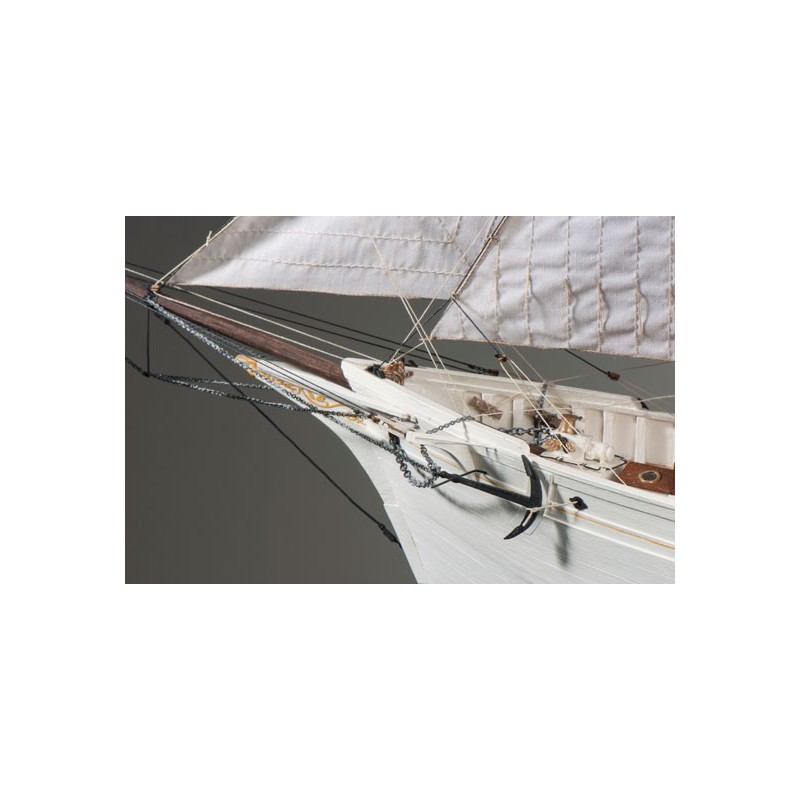 Static boat the beautiful hen 1/50 | Scientific-MHD