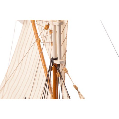 Henriette Marie 1/50 static boat | Scientific-MHD